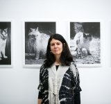 CAT ISLAND BLUES　写真展　Katherine  Longly