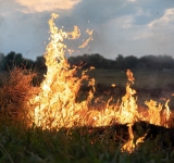 ベルギー東部で史上最悪の山火事
