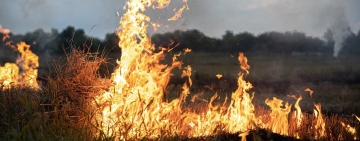 ベルギー東部で史上最悪の山火事