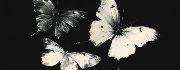 M. Butterfly「エム.バタフライ(蝴蝶君）」