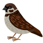 ぴよぴよ's Avatar